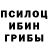 Псилоцибиновые грибы мицелий GoodPrank gung