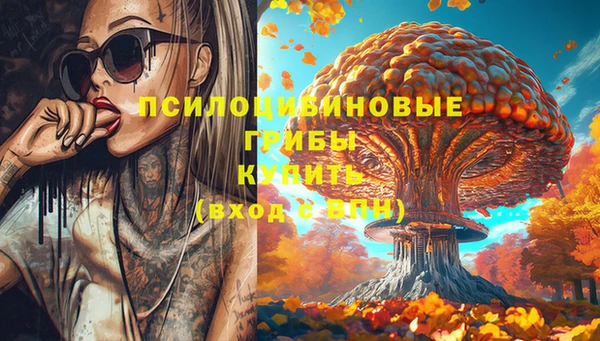 амф Богородск