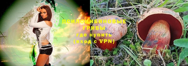 MDMA Богородицк