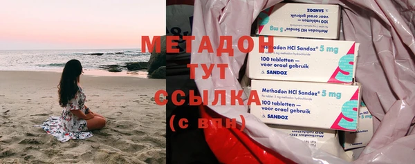 сатива Беломорск